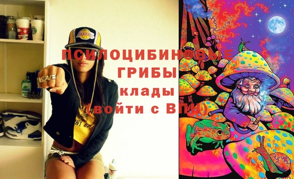 трава Куйбышев
