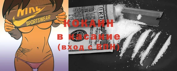 дживик Кулебаки