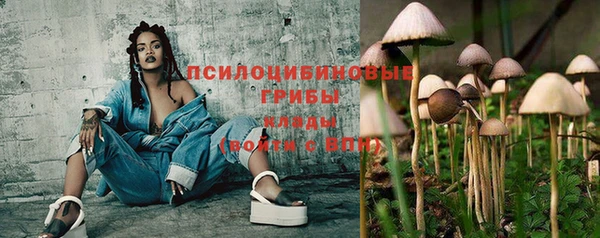 спайс Кукмор