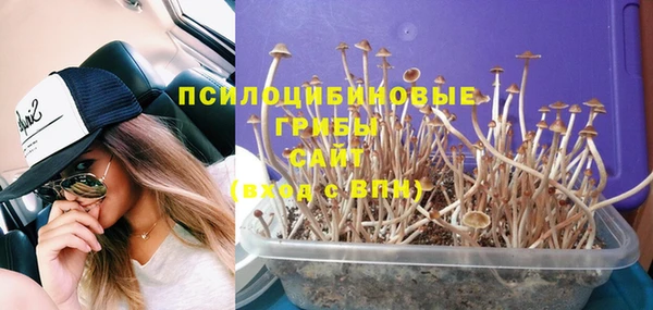 дживик Кулебаки
