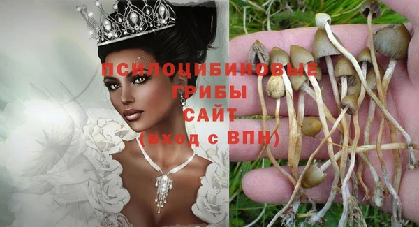 спайс Кукмор