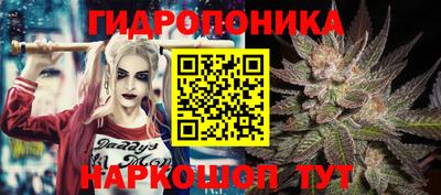ECSTASY Краснодар
