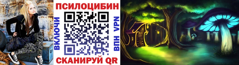 Псилоцибиновые грибы Magic Shrooms Хасавюрт