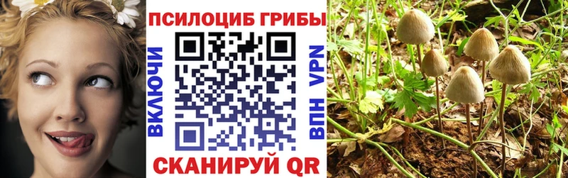 цена   Хасавюрт  Псилоцибиновые грибы Magic Shrooms 