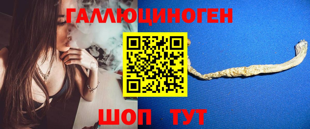 Псилоцибиновые грибы Psilocybe Хасавюрт