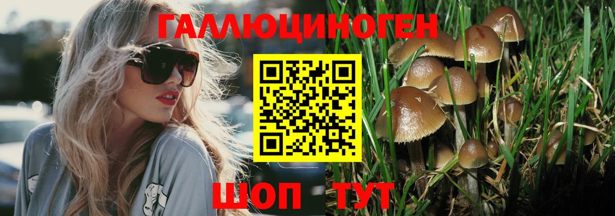 Галлюциногенные грибы ЛСД  Галлюциногенные грибы Psilocybine cubensis  Вход с VPN  Хасавюрт 